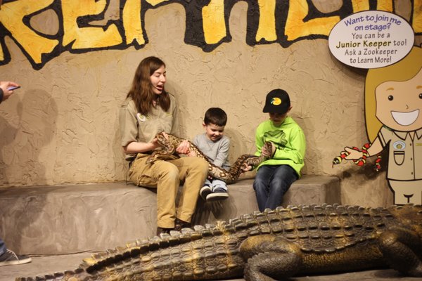 REPTILIA - 247 Photos & 46 Reviews - 2501 Rutherford Road, Concord, ON,  Canada - Yelp