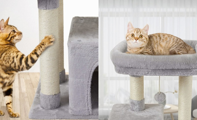 $34.95 for a Cat Tree Tower (a $97.49 Value)